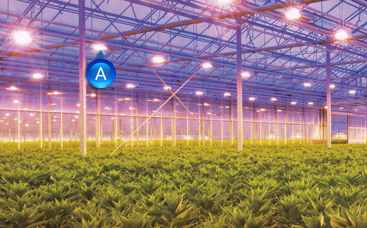 LED lights can be tuned to promote plant growth.