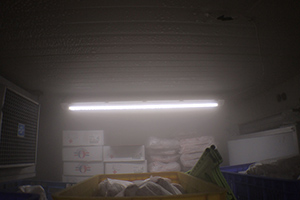 LED Lighting Solutions Provided by ALT. 